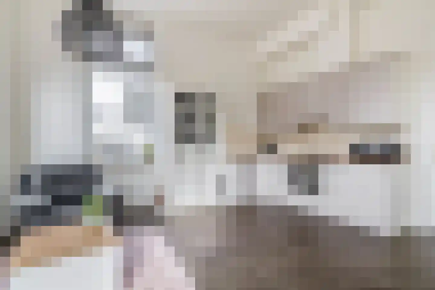 Heul 3 Dirksland thumbnail 17