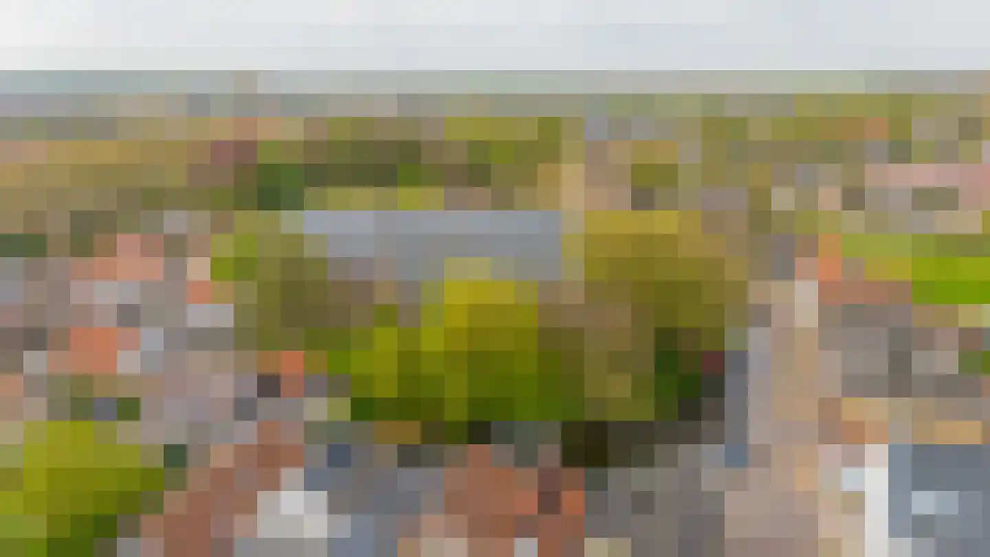Heul 3 Dirksland foto 3