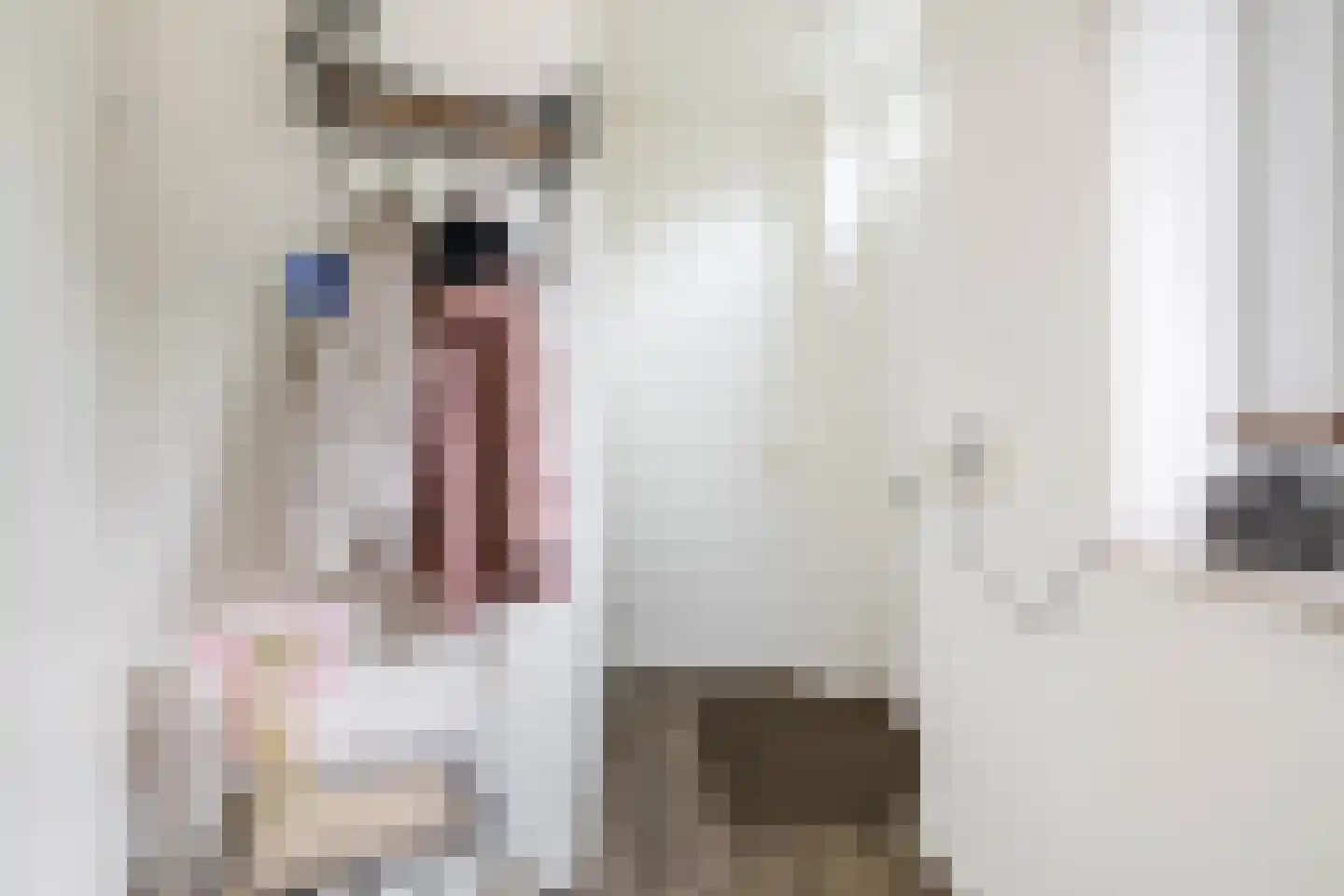 Heul 3 Dirksland thumbnail 4