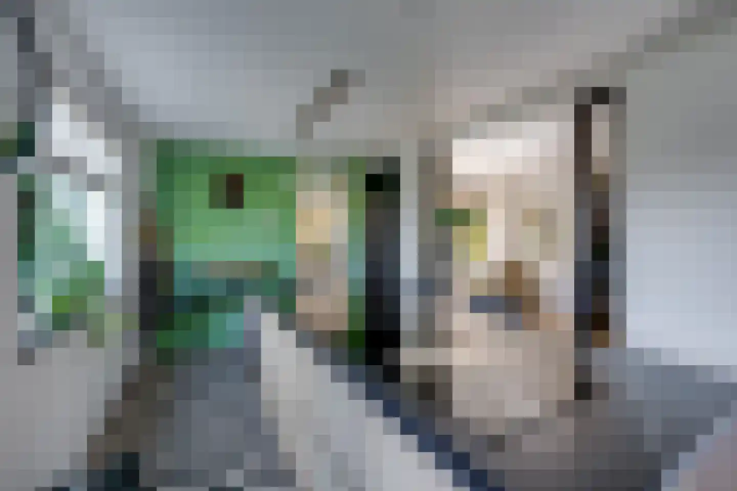 Heul 7 Hoeven thumbnail 20