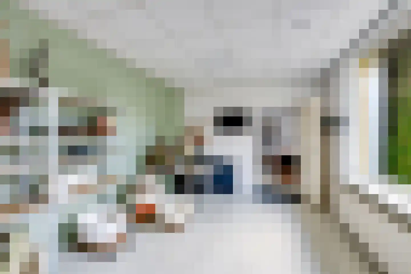 Heul 7 Hoeven thumbnail 25