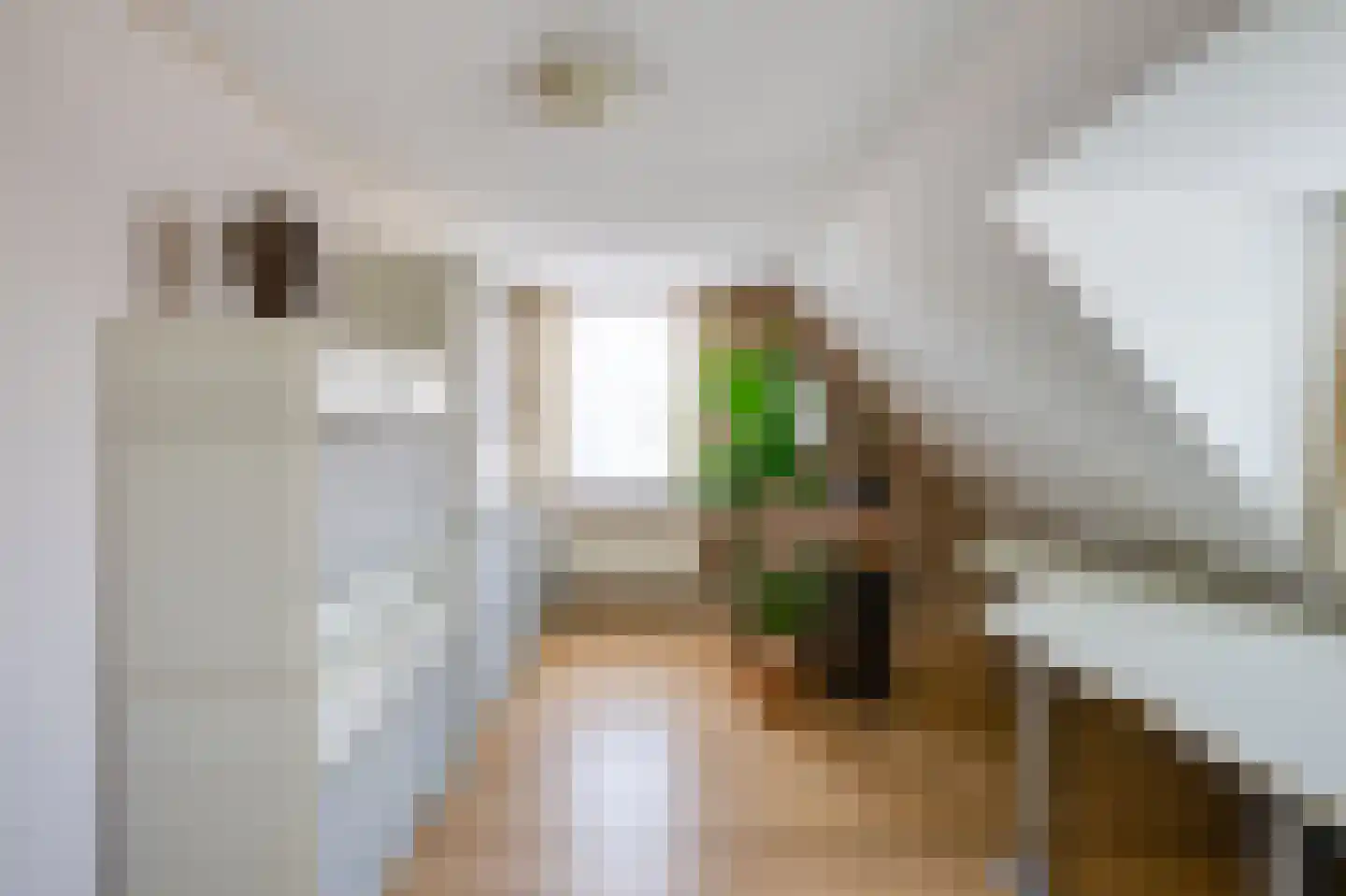Heul 7 Hoeven thumbnail 43