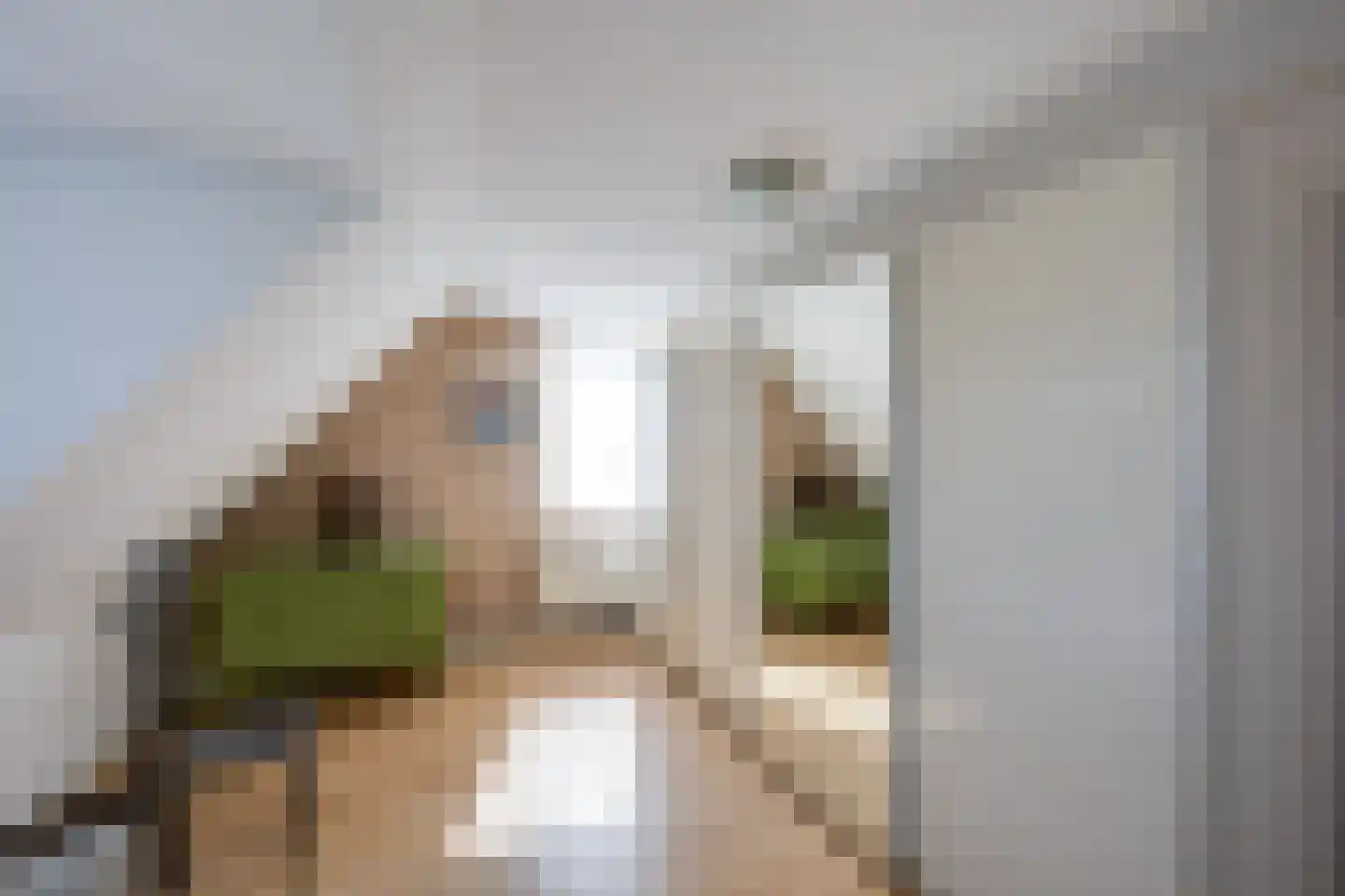 Heul 7 Hoeven thumbnail 44