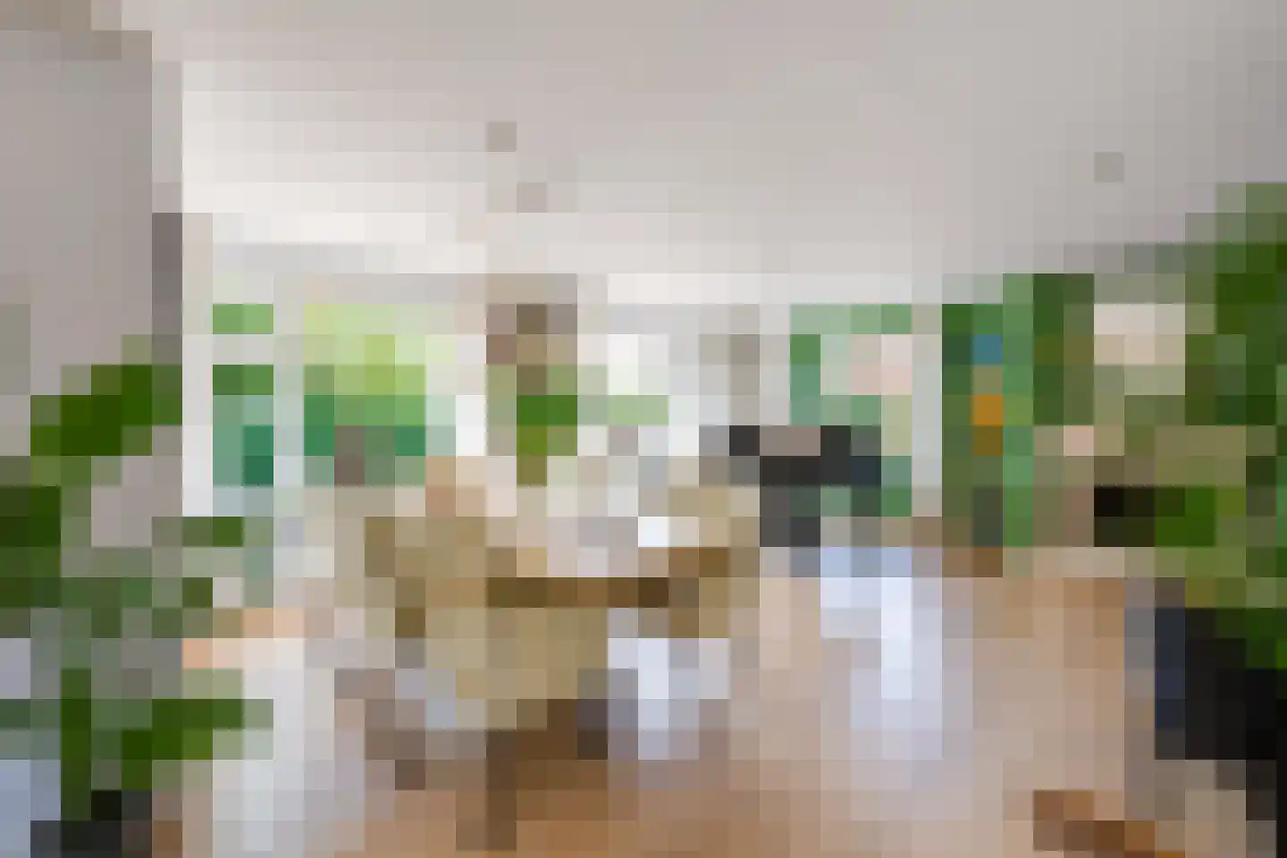 Heul 7 Hoeven thumbnail 58