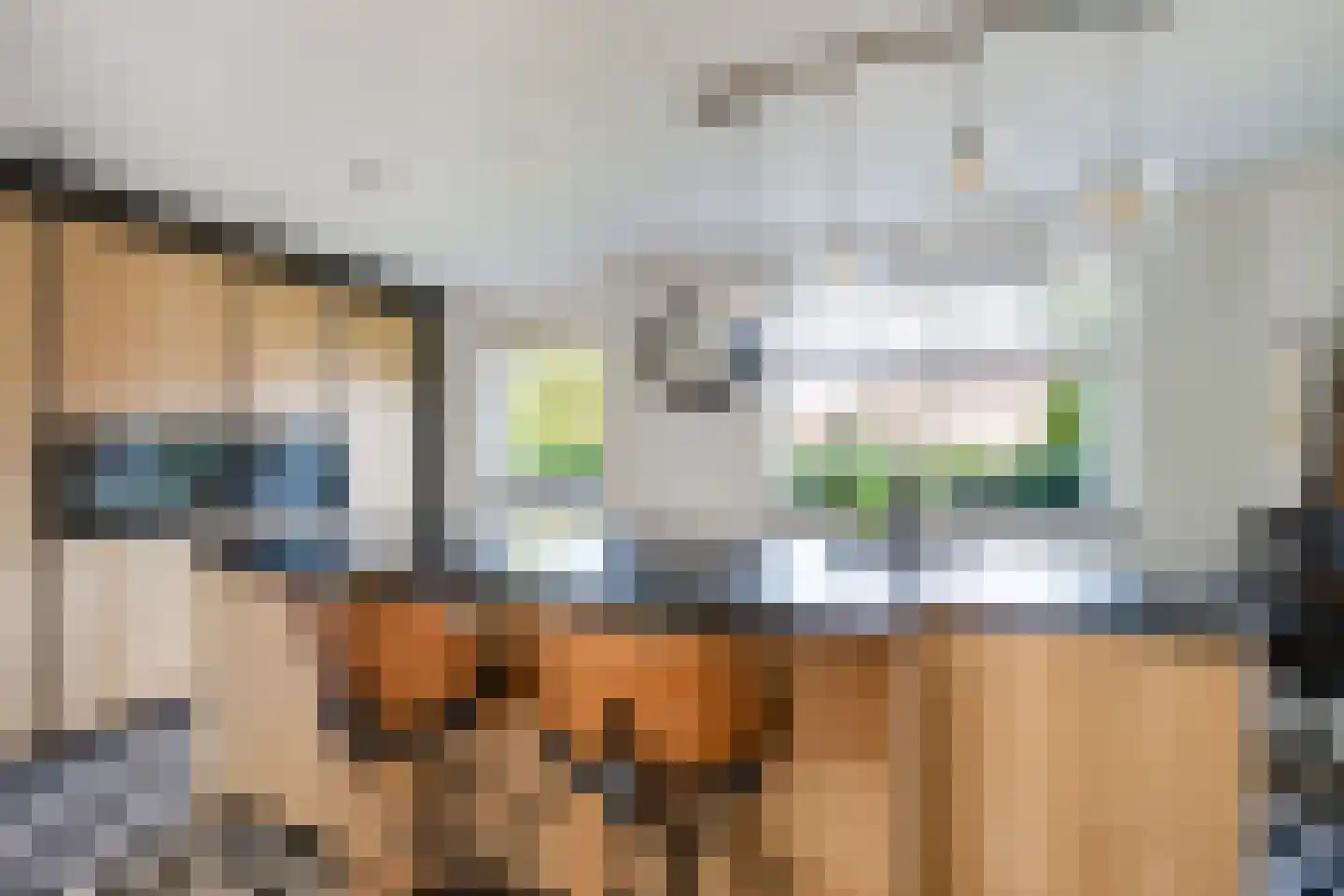 Heul 7 Hoeven thumbnail 63