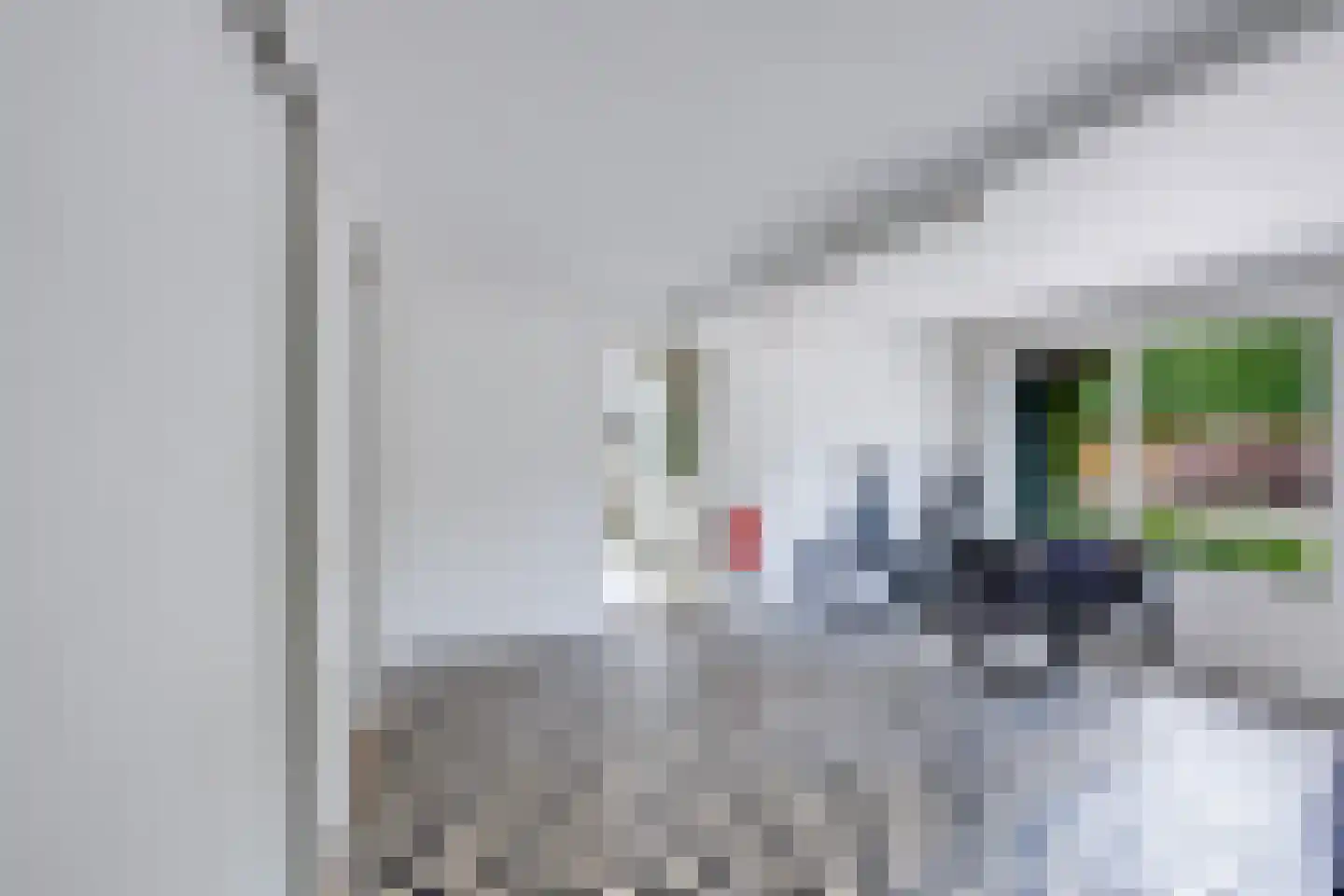 Heul 7 Hoeven thumbnail 70