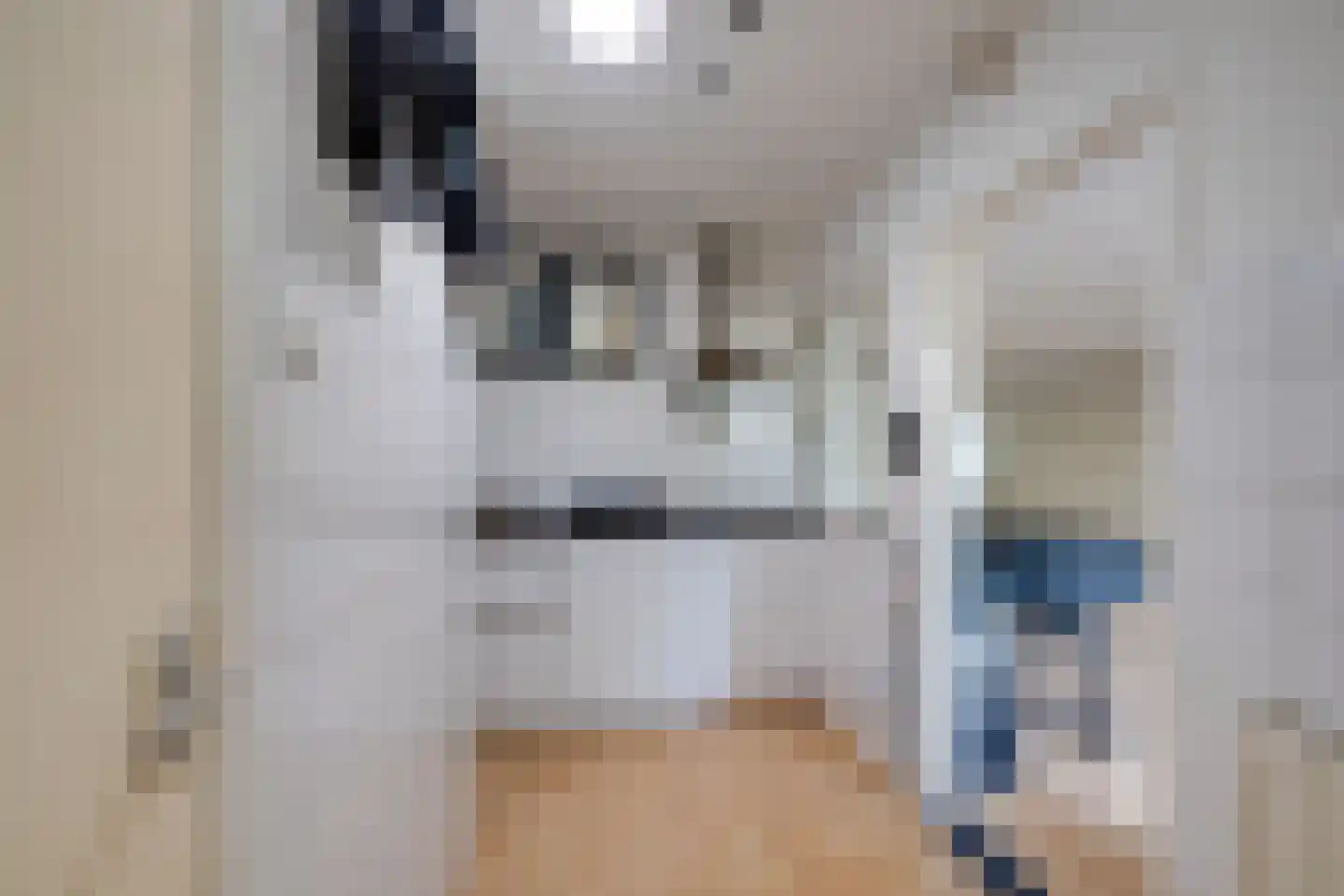 Heul 7 Hoeven thumbnail 74