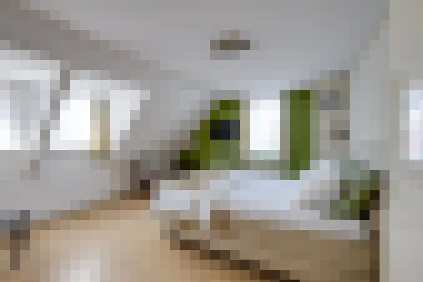 Heul 7 Hoeven thumbnail 86