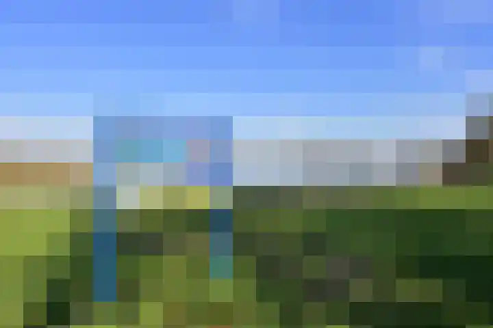 Heulakker 47 Loosdrecht thumbnail 22