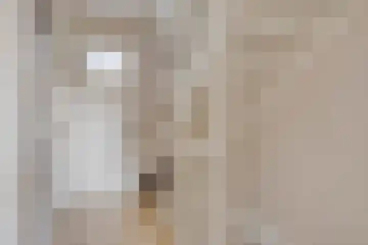 Heulbank 28 Best thumbnail 23