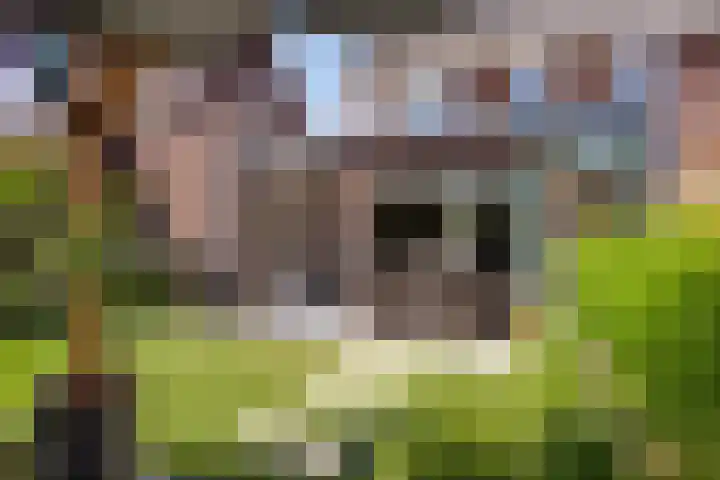 Heulbank 28 Best thumbnail 35