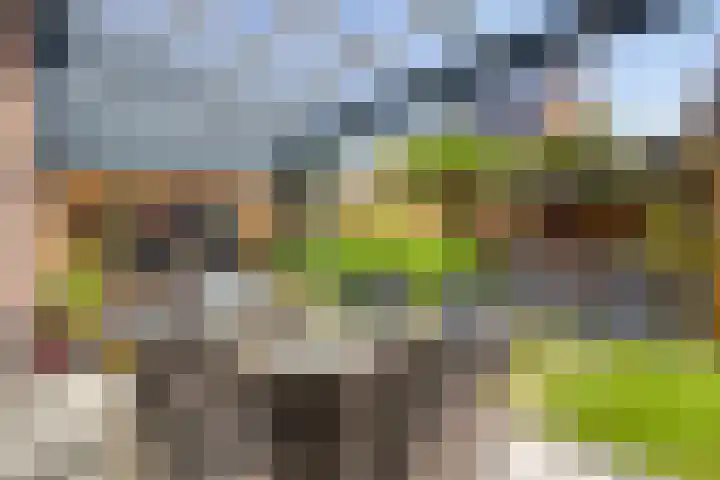 Heulbank 28 Best thumbnail 37