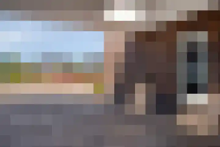 Heulbank 28 Best thumbnail 45