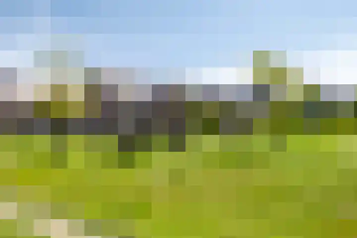 Heulbank 28 Best thumbnail 51