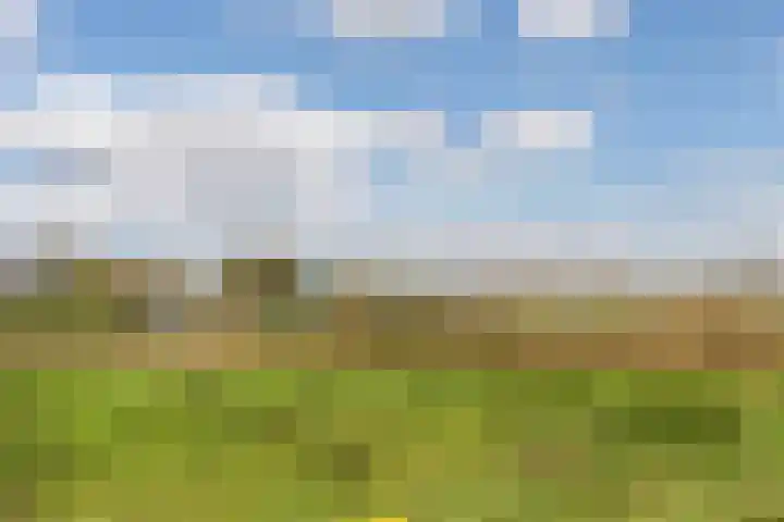 Heulbank 54 Best thumbnail 34
