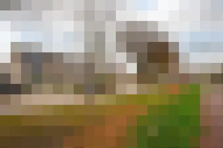 Heulberg 28 Roosendaal thumbnail 34