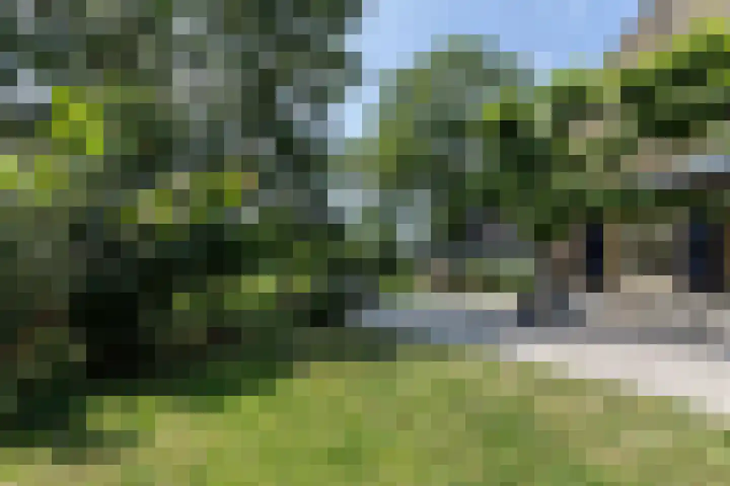 Heulenslag 57 Bleskensgraaf ca thumbnail 58
