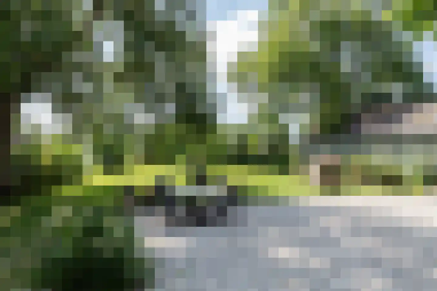 Heulenslag 57 Bleskensgraaf ca thumbnail 59