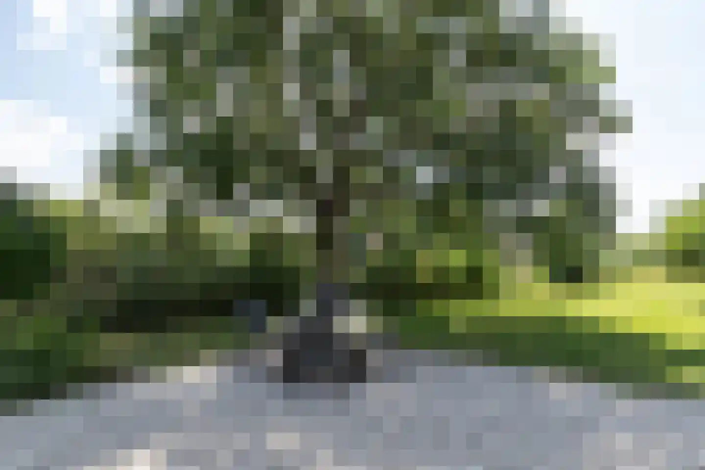 Heulenslag 57 Bleskensgraaf ca thumbnail 60