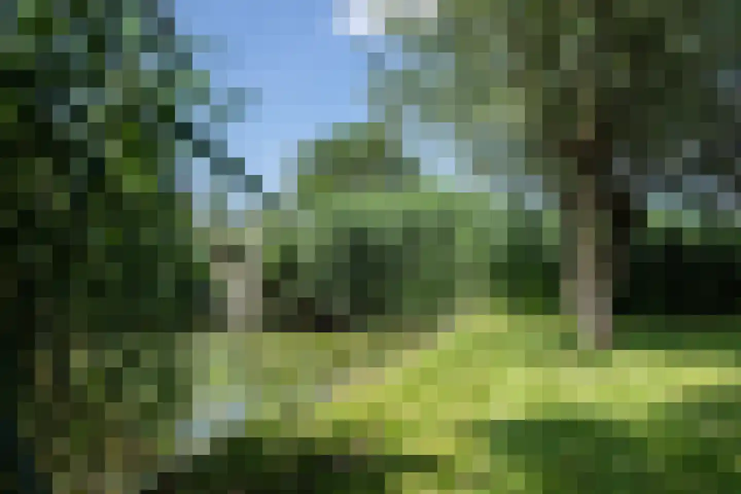 Heulenslag 57 Bleskensgraaf ca thumbnail 64