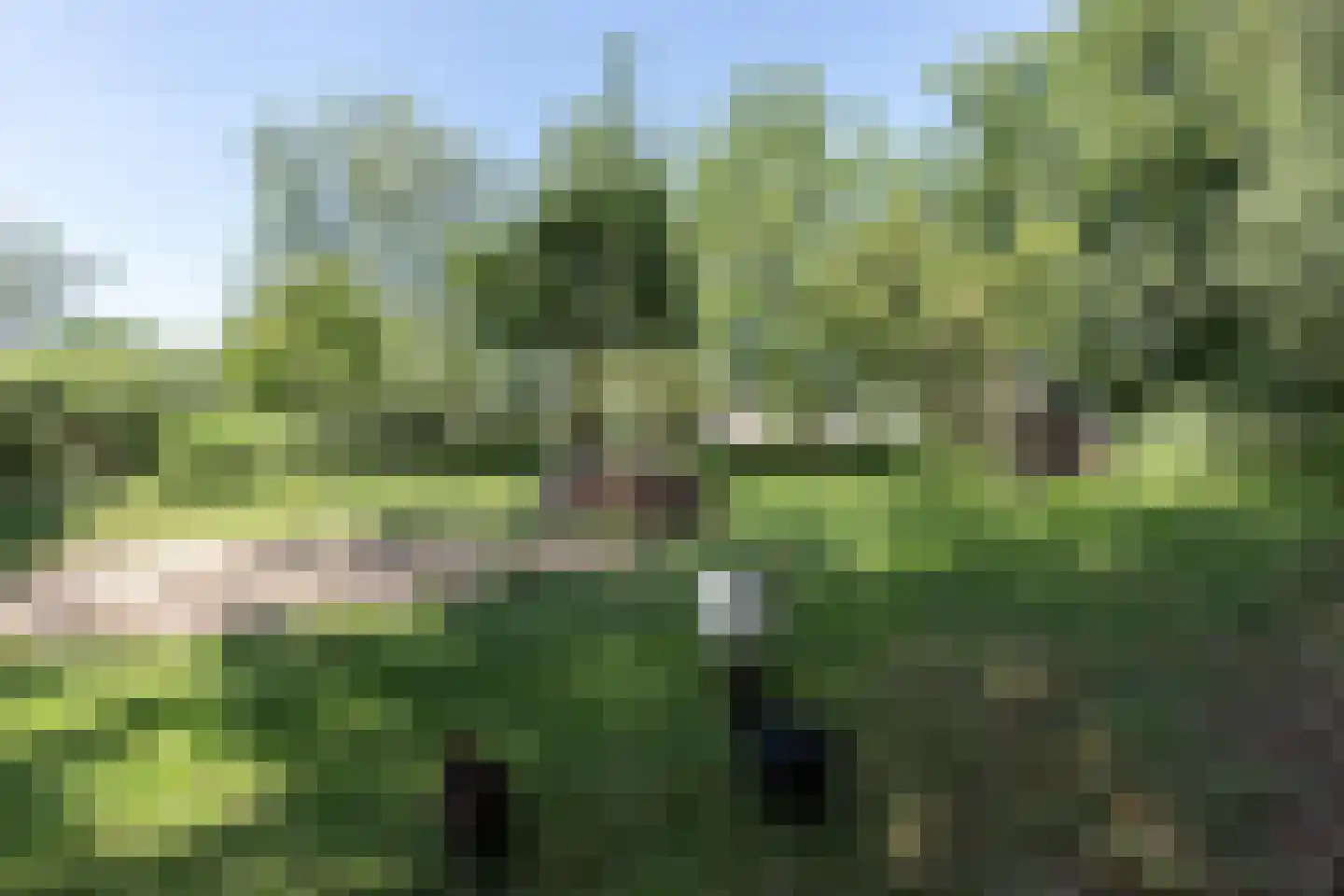 Heulenslag 57 Bleskensgraaf ca thumbnail 75