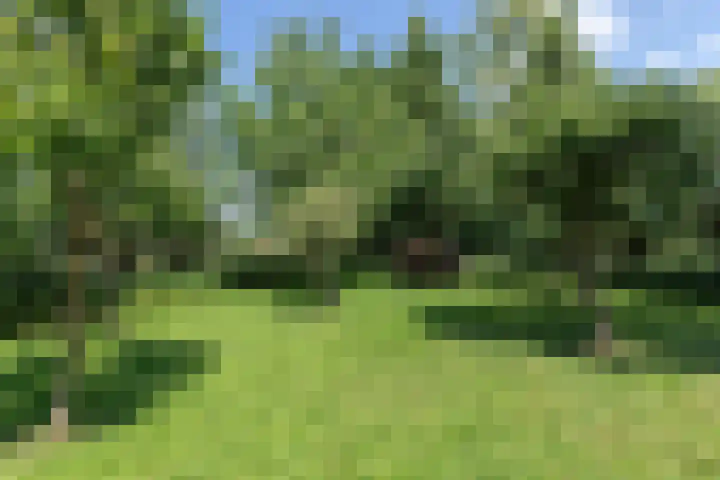 Heulenslag 57 Bleskensgraaf ca thumbnail 76