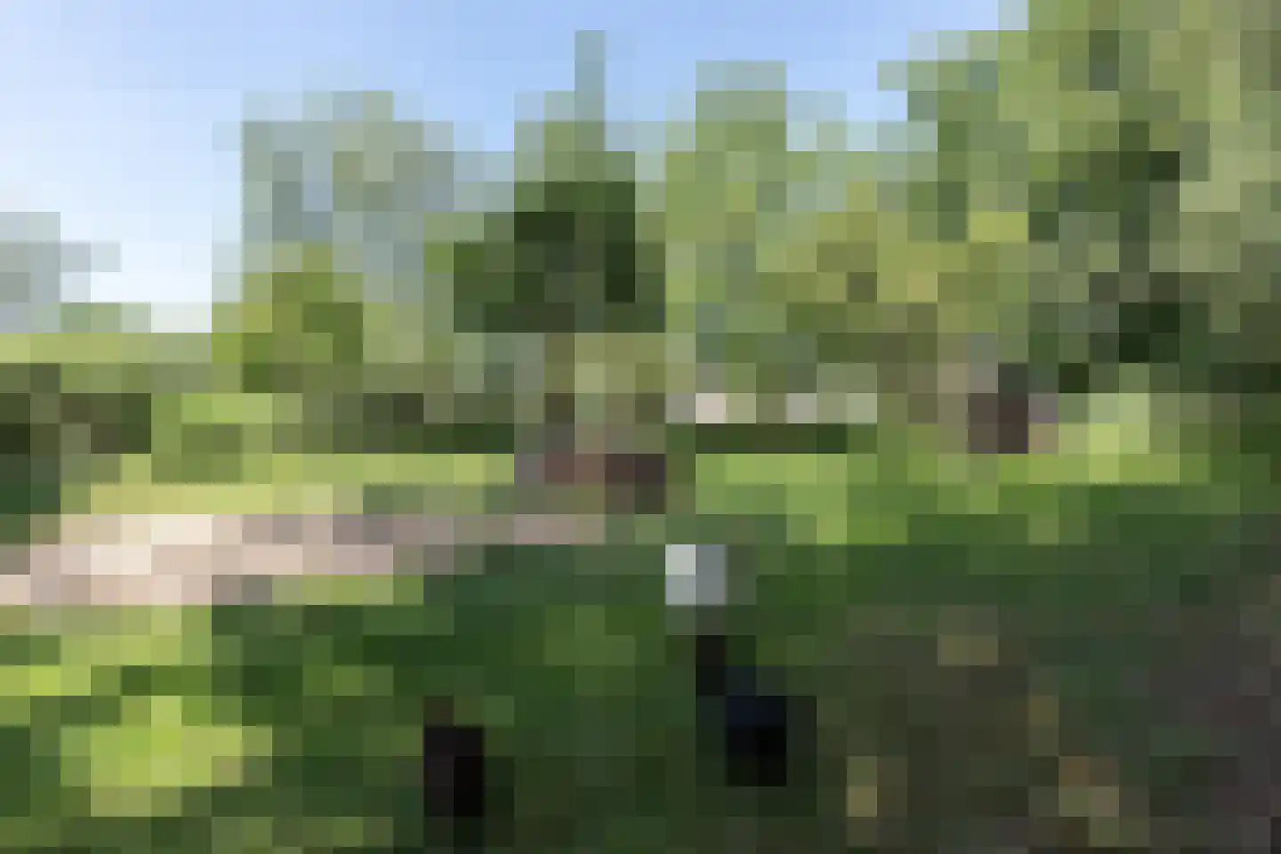 Heulenslag 57 Bleskensgraaf ca thumbnail 76