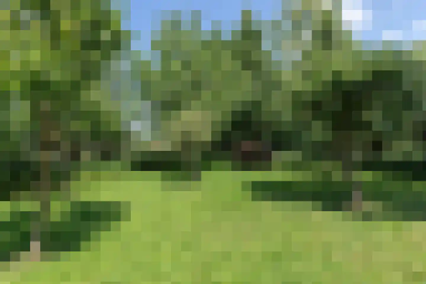 Heulenslag 57 Bleskensgraaf ca thumbnail 77