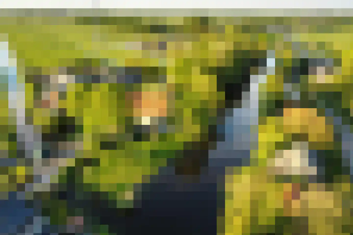 Heulenslag 57 Bleskensgraaf ca thumbnail 80