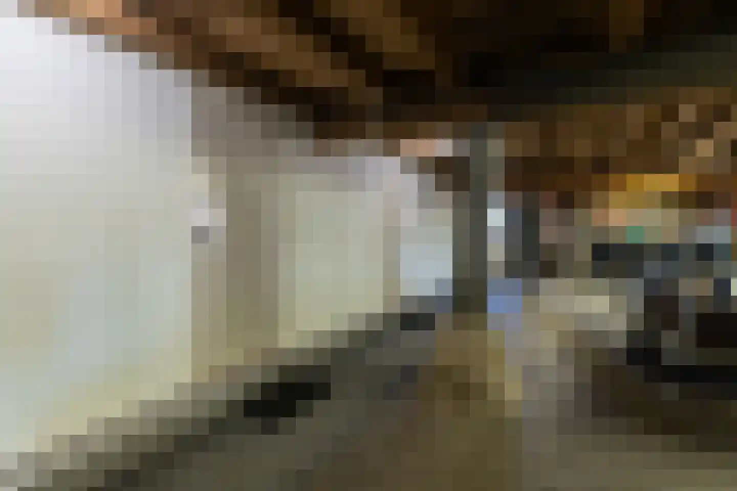 Heulenslag 61 Bleskensgraaf ca thumbnail 41
