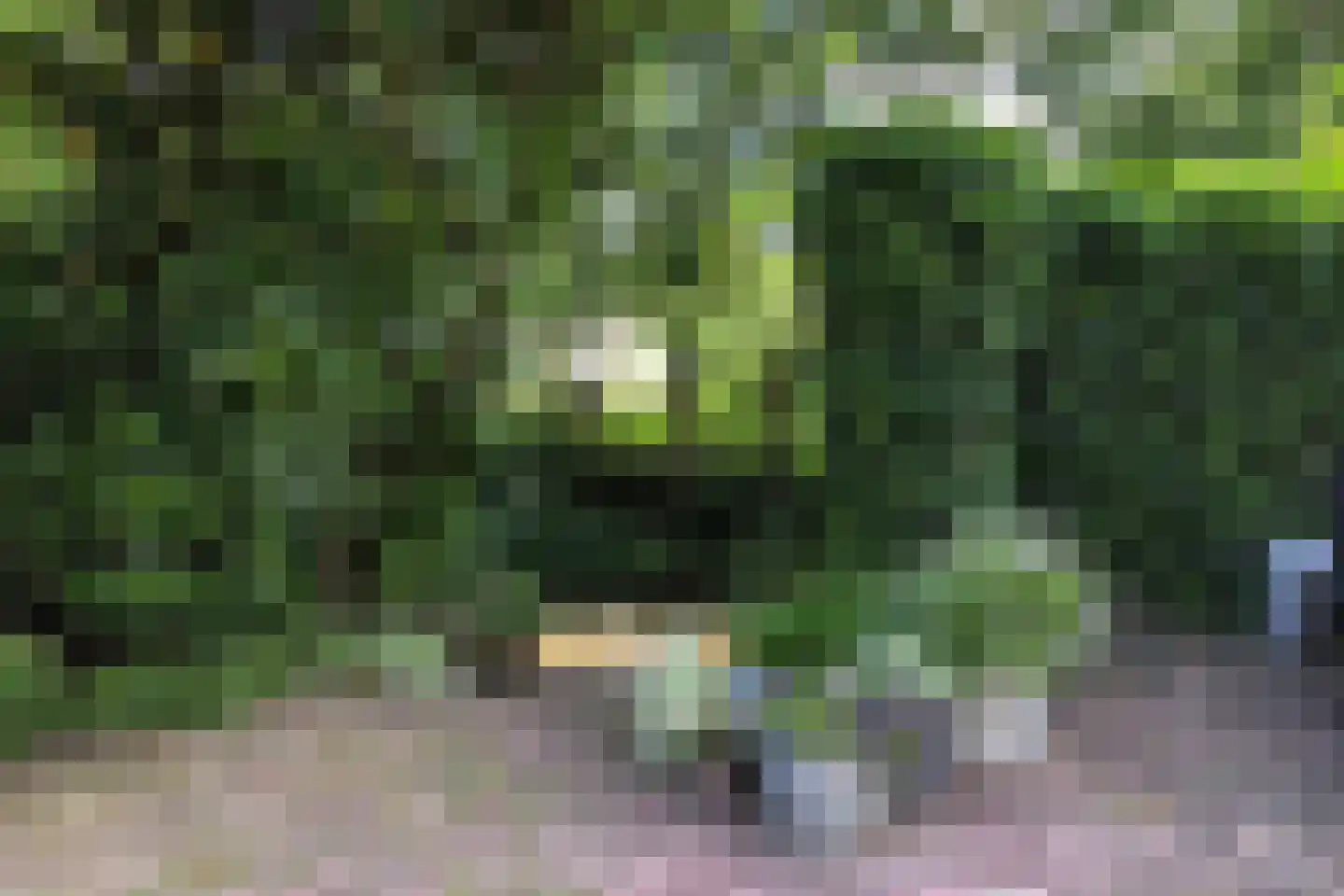 Heulenslag 61 Bleskensgraaf ca thumbnail 43