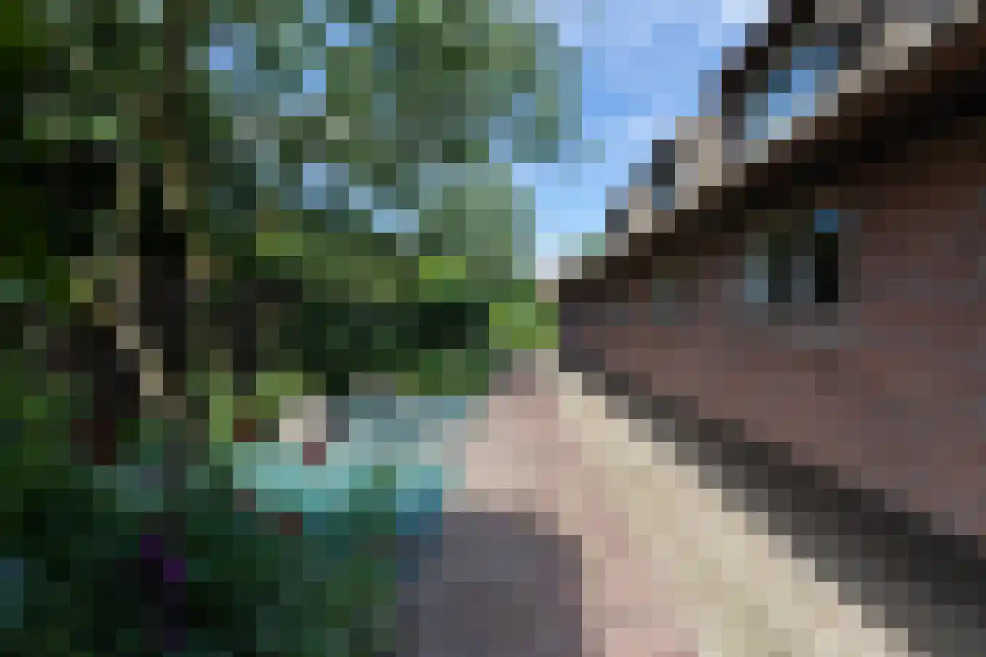 Heulenslag 61 Bleskensgraaf ca thumbnail 44