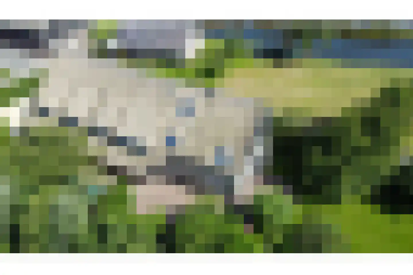 Heulenslag 61 Bleskensgraaf ca thumbnail 46