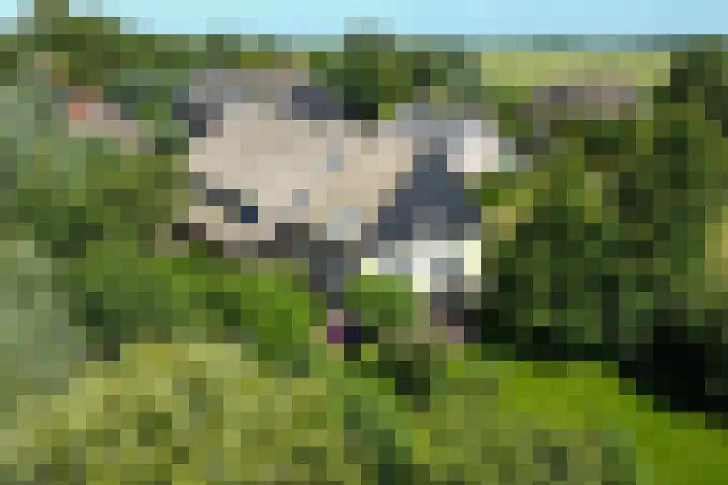 Heulenslag 61 Bleskensgraaf ca thumbnail 6