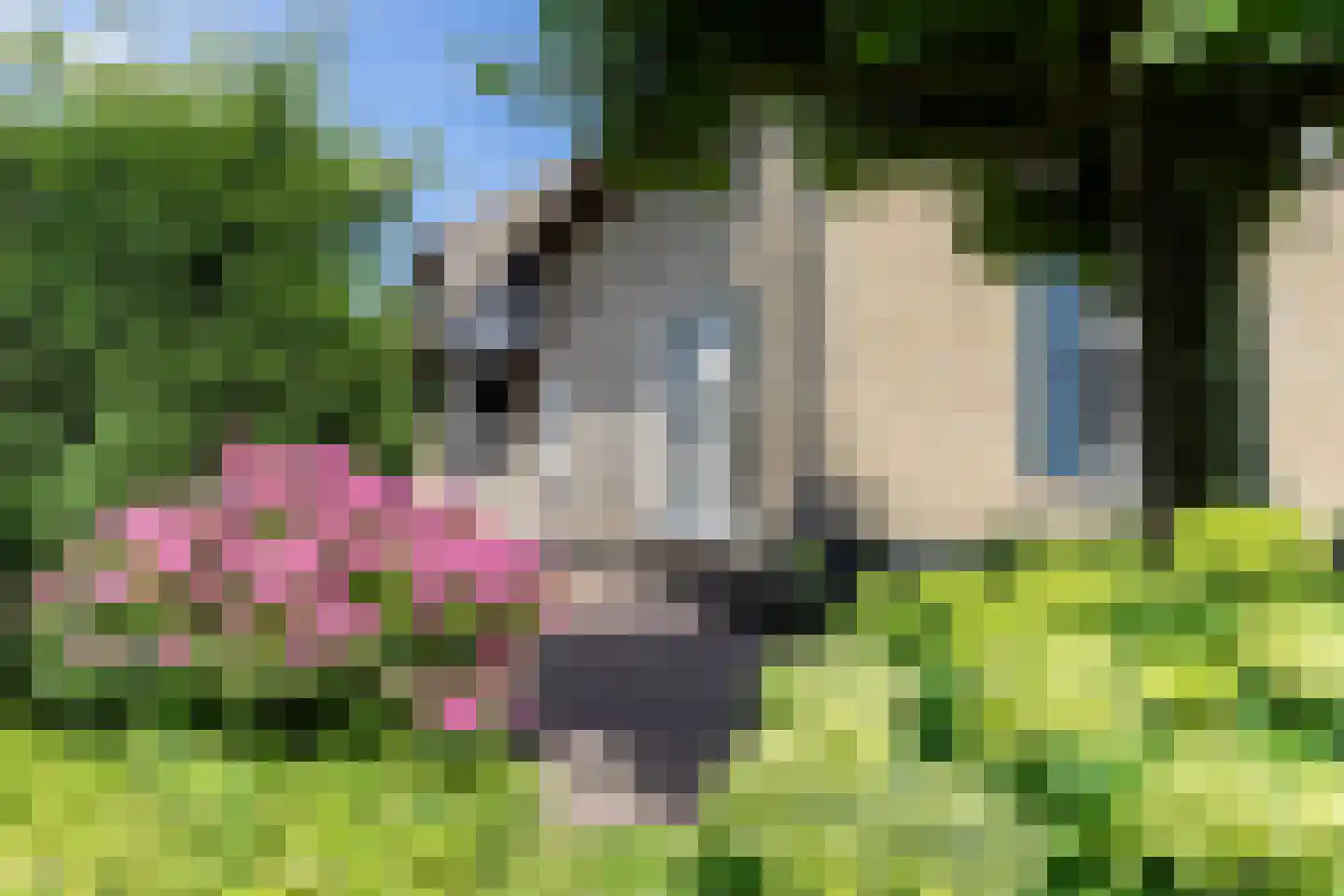 Heulenslag 61 Bleskensgraaf ca thumbnail 7