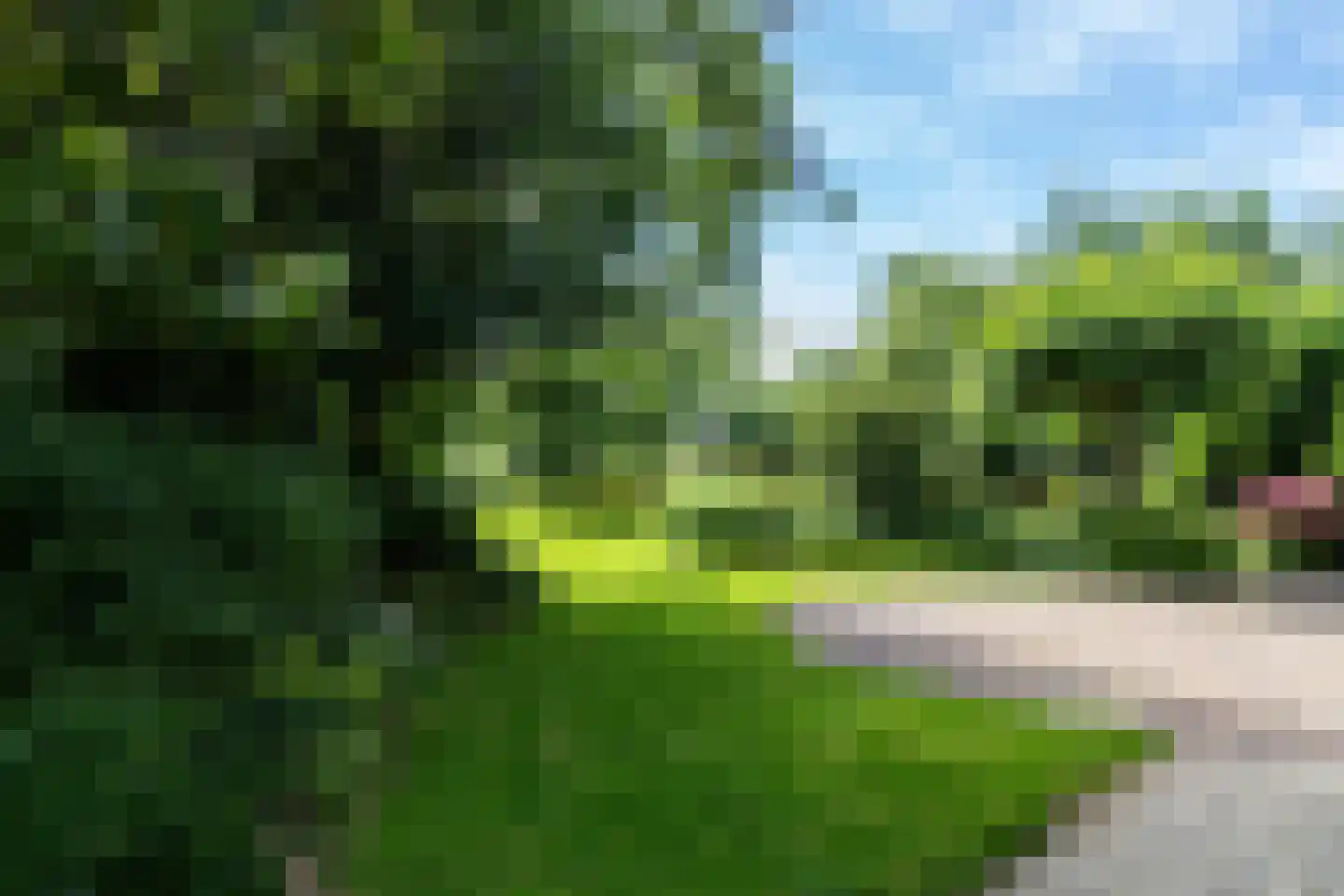 Heulenslag 61 Bleskensgraaf ca thumbnail 75