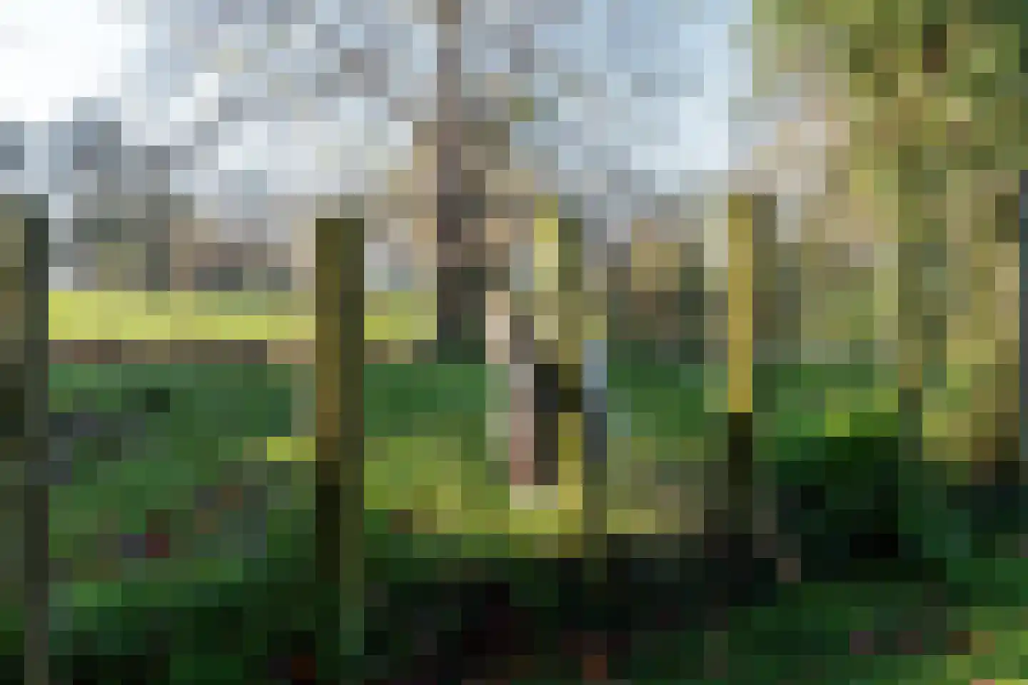 Heulenslag 61 Bleskensgraaf ca thumbnail 76