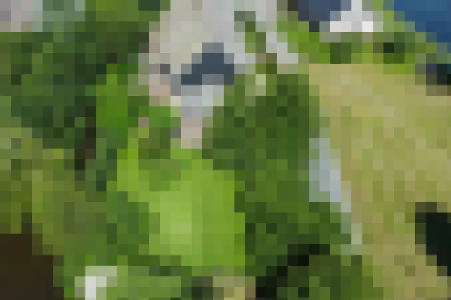 Heulenslag 61 Bleskensgraaf ca thumbnail 78