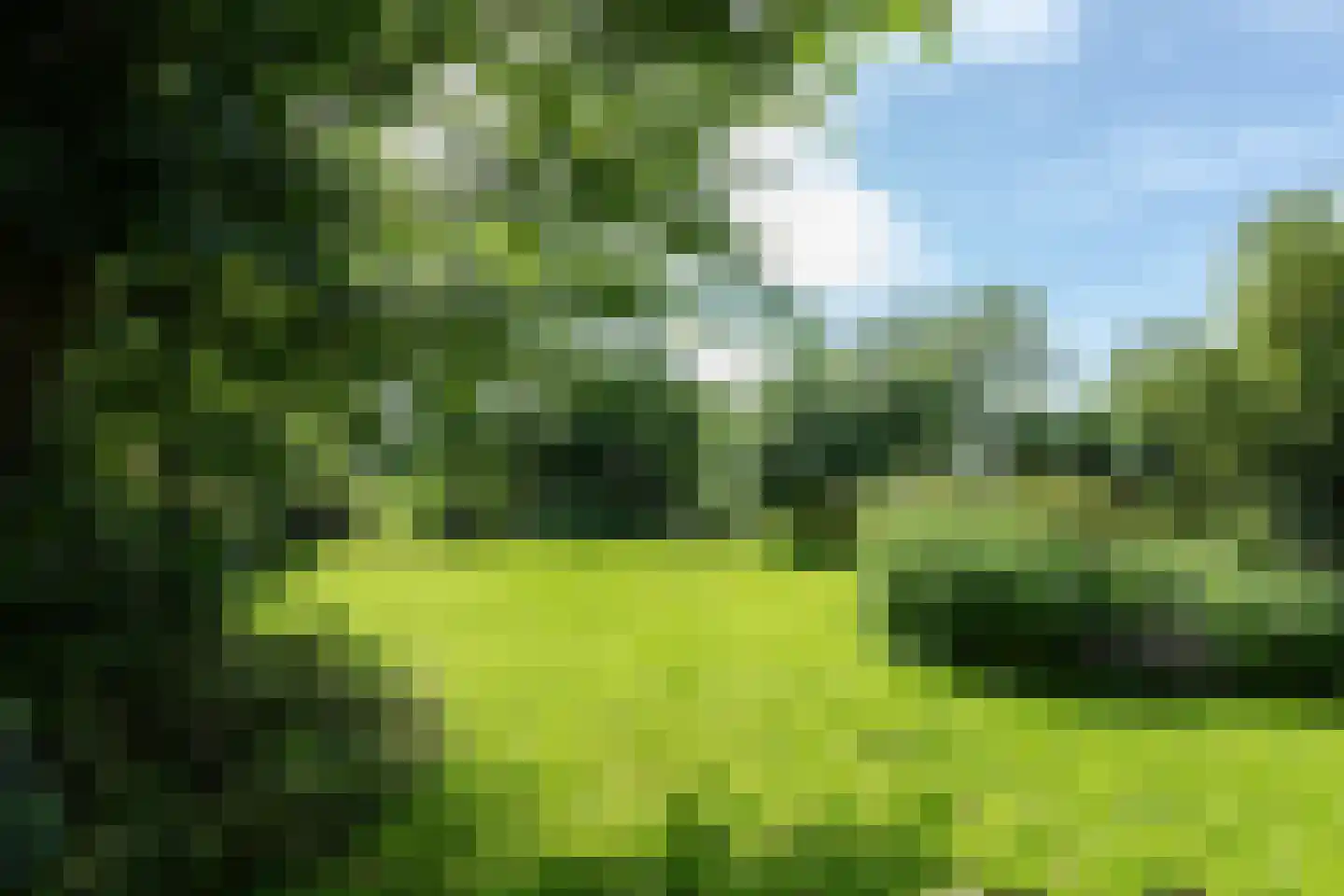 Heulenslag 61 Bleskensgraaf ca thumbnail 79