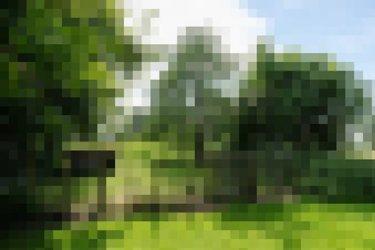Heulenslag 61 Bleskensgraaf ca thumbnail 81