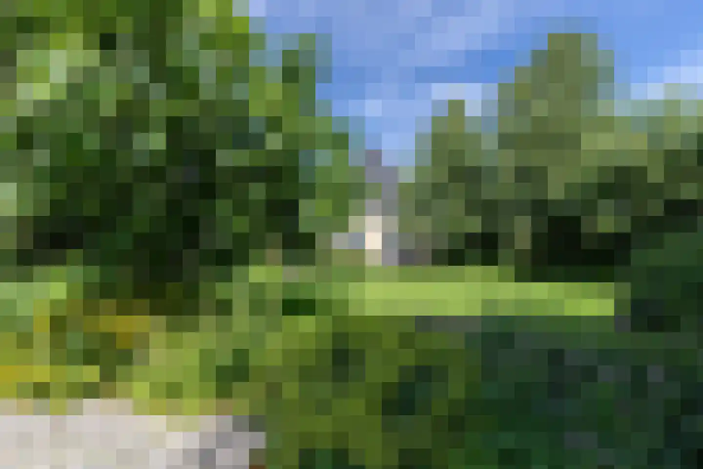 Heulenslag 61 Bleskensgraaf ca thumbnail 83