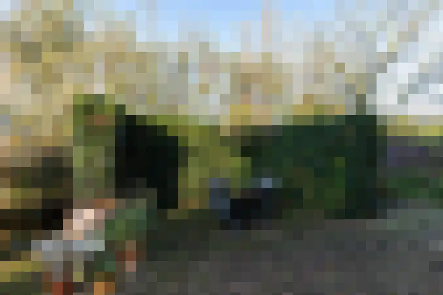Heulenslag 61 Bleskensgraaf ca thumbnail 85
