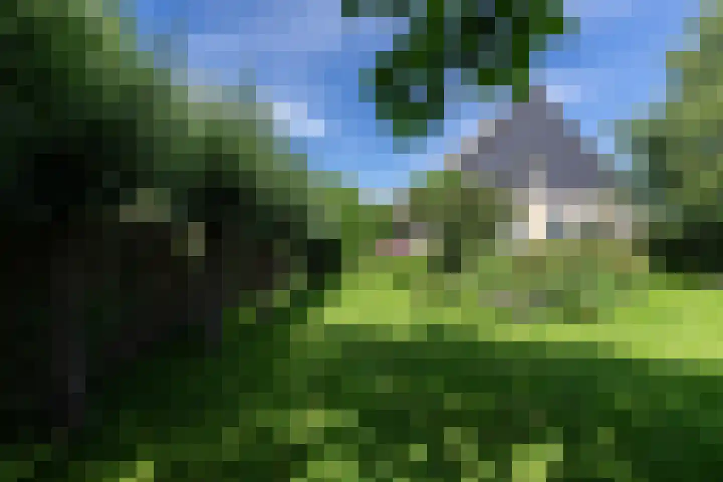 Heulenslag 61 Bleskensgraaf ca thumbnail 85