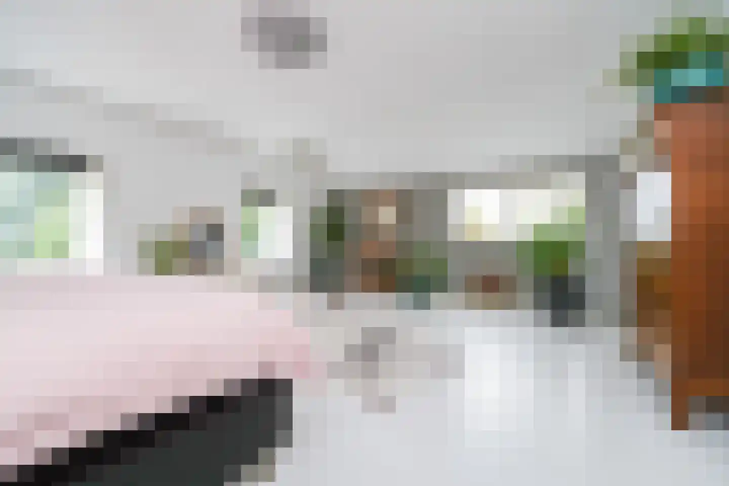 Heulenslag 65 Bleskensgraaf ca thumbnail 21