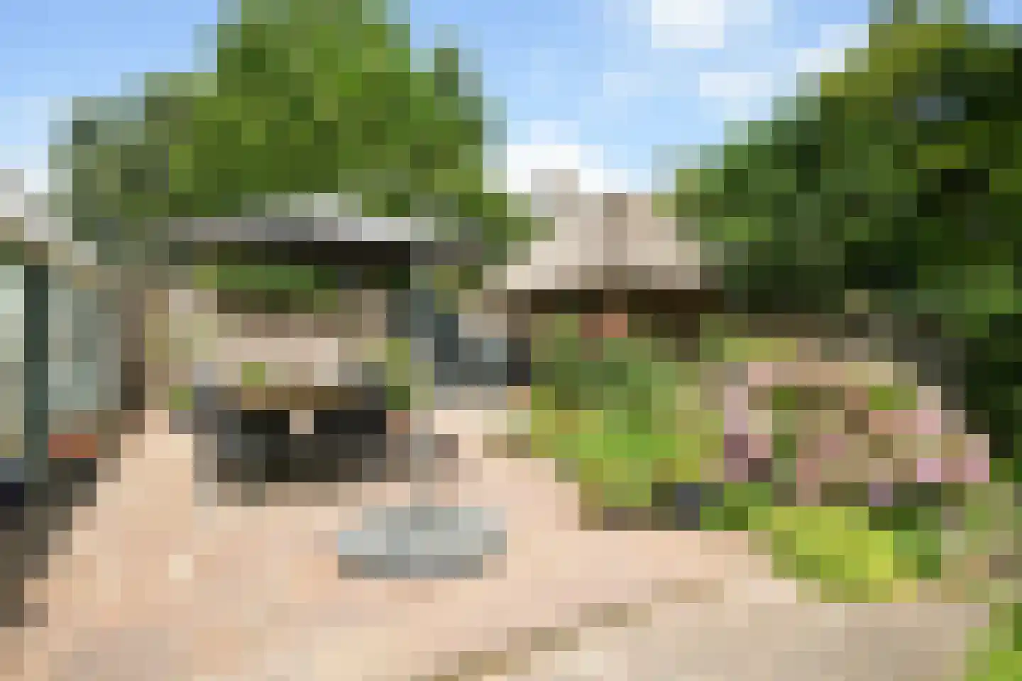 Heulenslag 65 Bleskensgraaf ca thumbnail 42