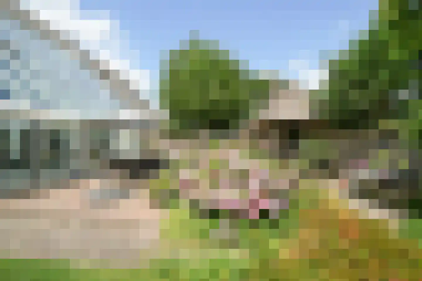 Heulenslag 65 Bleskensgraaf ca thumbnail 43