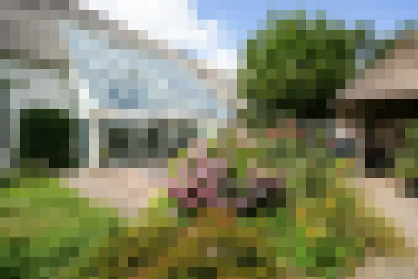 Heulenslag 65 Bleskensgraaf ca thumbnail 44
