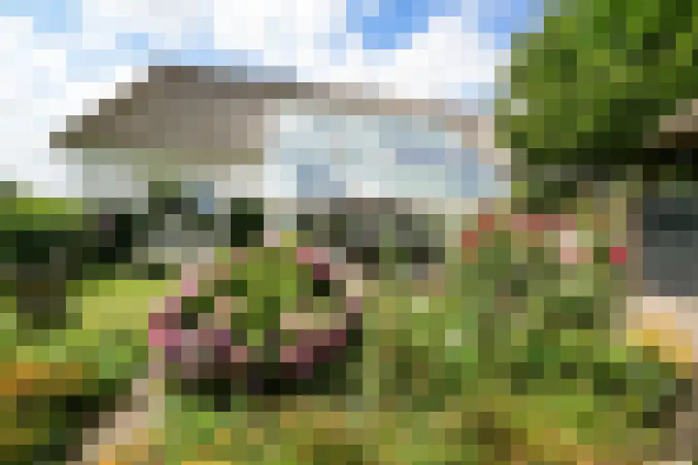 Heulenslag 65 Bleskensgraaf ca thumbnail 45
