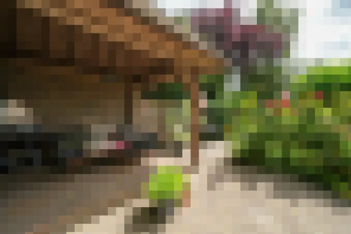 Heulenslag 65 Bleskensgraaf ca thumbnail 46