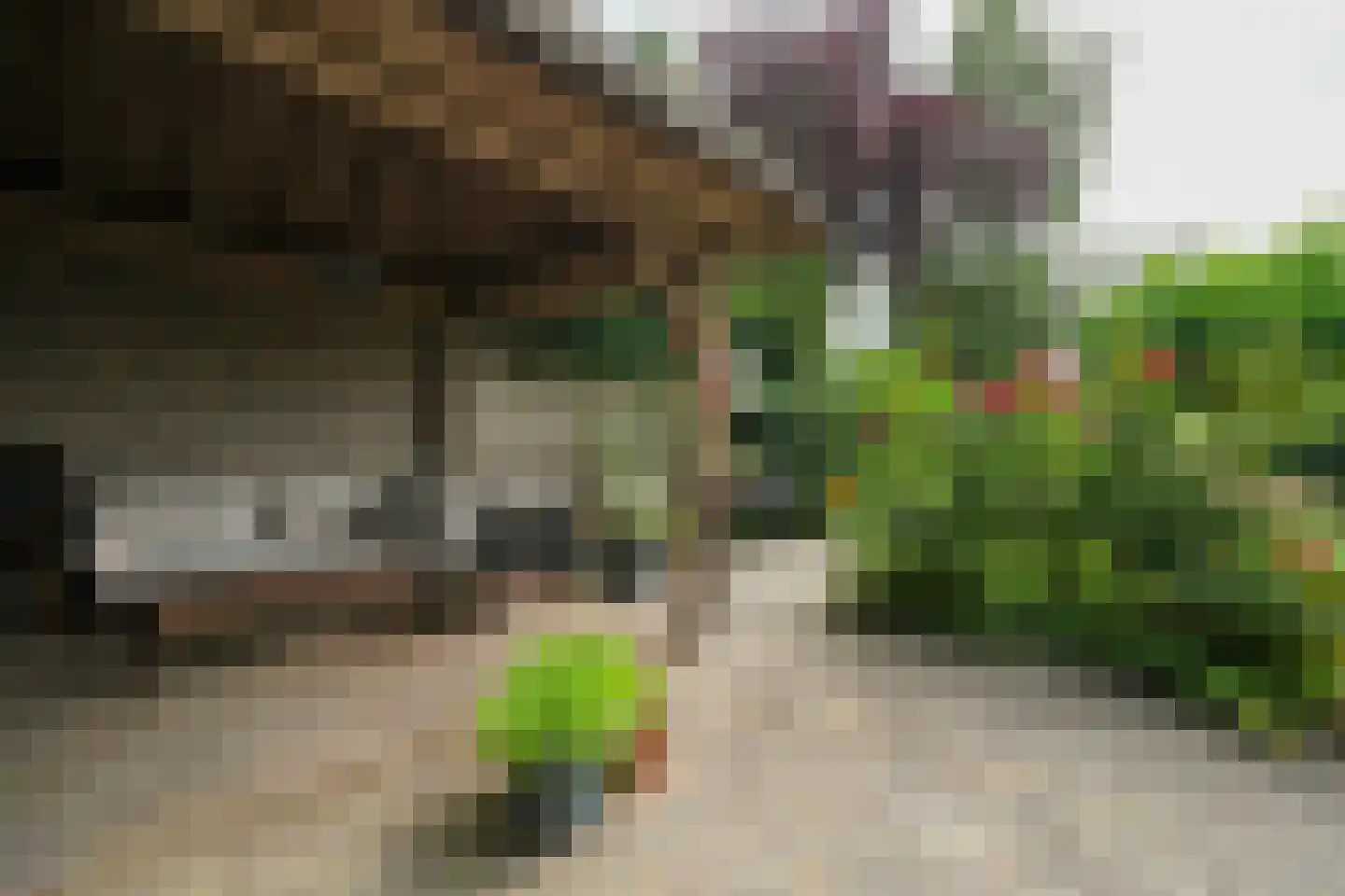 Heulenslag 65 Bleskensgraaf ca thumbnail 47